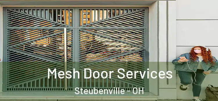 Mesh Door Services Steubenville - OH